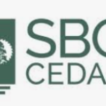 Le spécialiste du bardeau de cèdre
